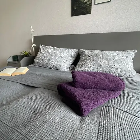 In Freudenstadt-kniebis Ii فرودنستاد